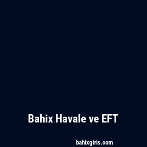 Bahix Havale ve EFT